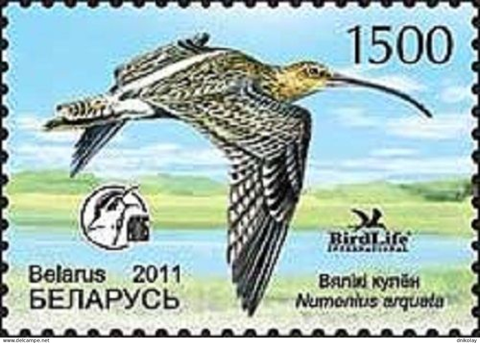 2011 873 Belarus Bird Of The Year - Eurasian Curlew MNH - Bielorussia