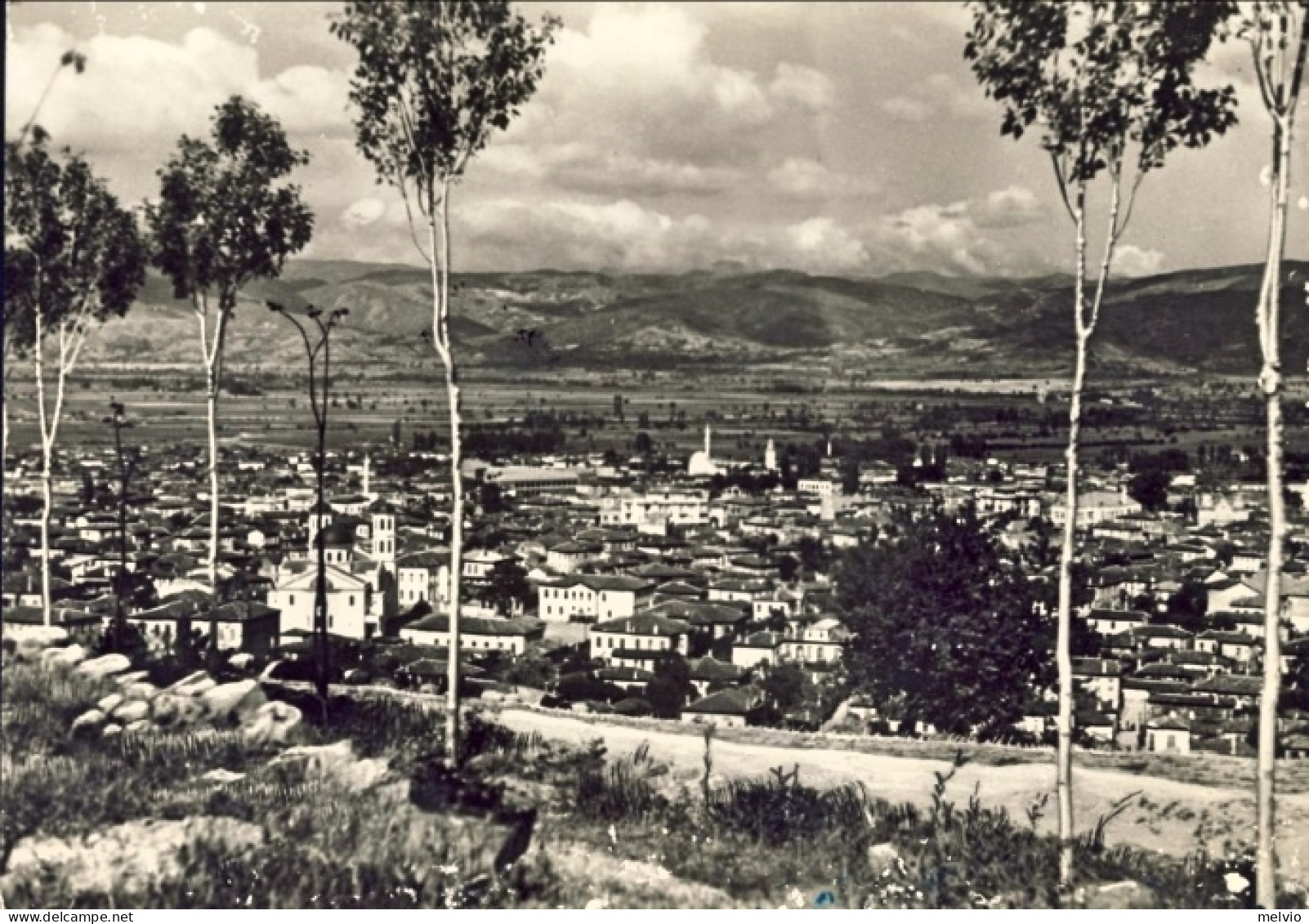 1942-Albania Occupazione Italiana Cartolina Foto Panorama Di Coritza Korce Affra - Albanie