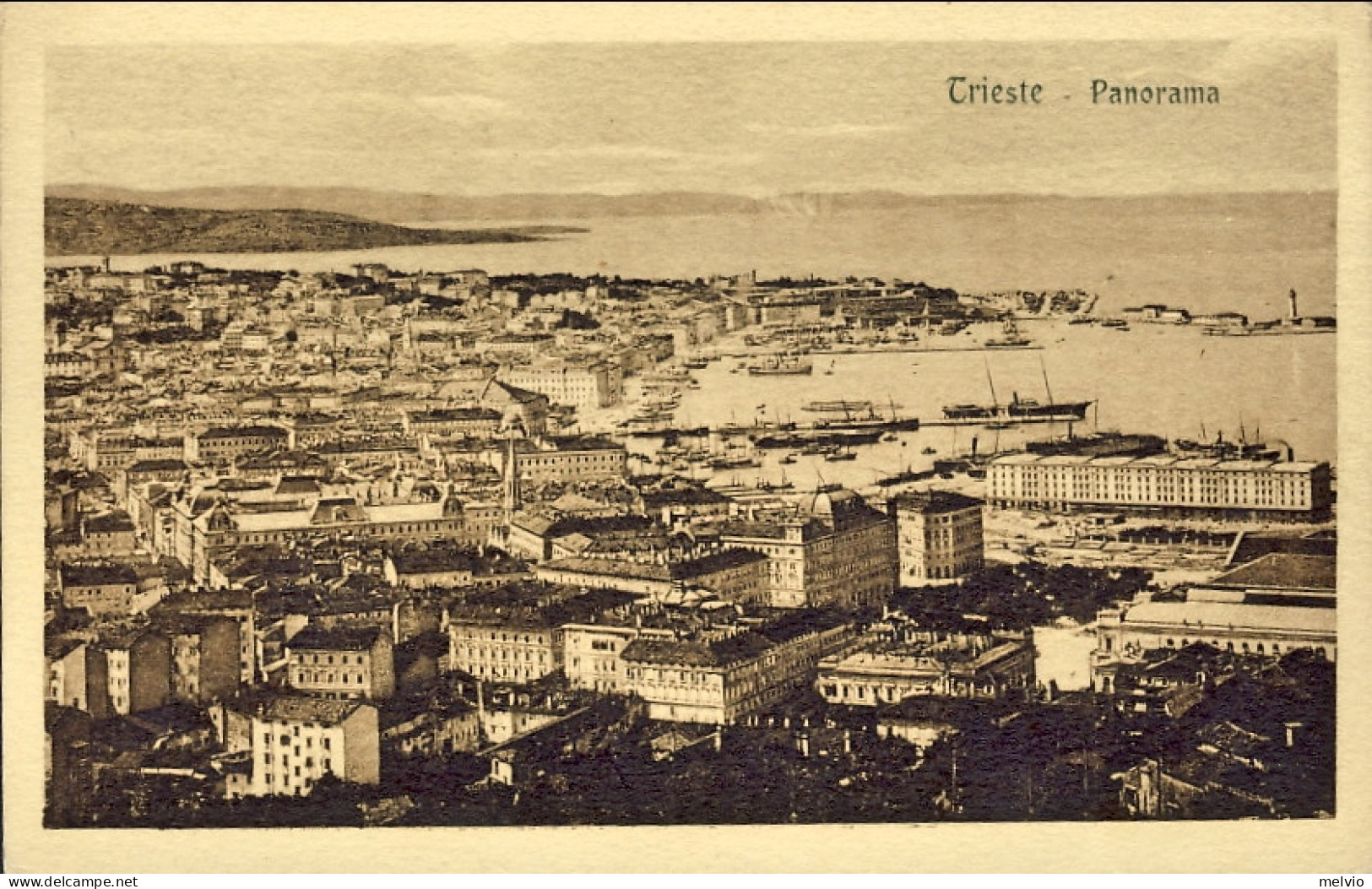 1917-Trento E Trieste Cartolina Trieste Panorama Affr.Leoni Soprastampati 10c.su - Trento & Trieste