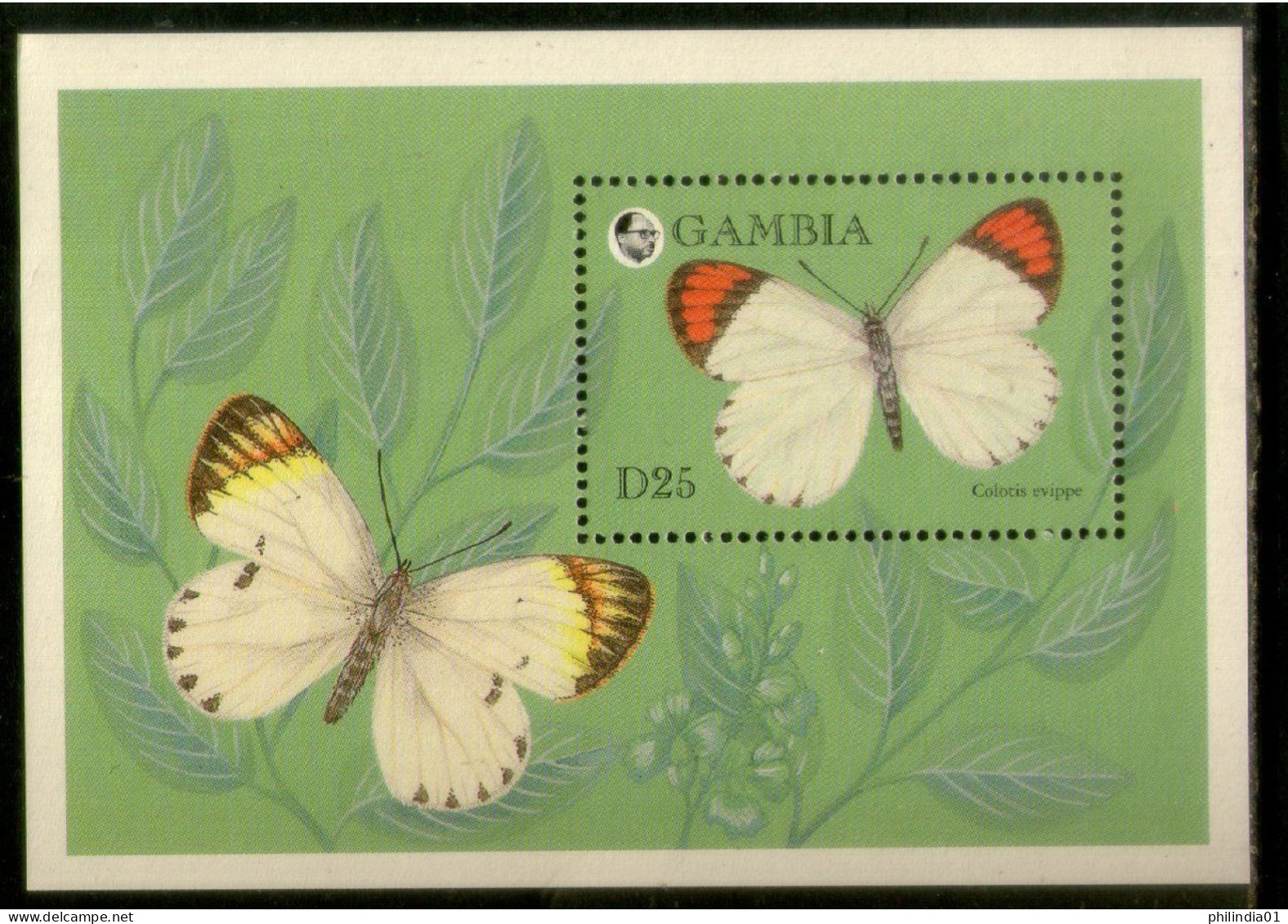 Gambia 1994 Butterflies Moth Insect Sc 1575 M/s MNH # 5306 - Vlinders