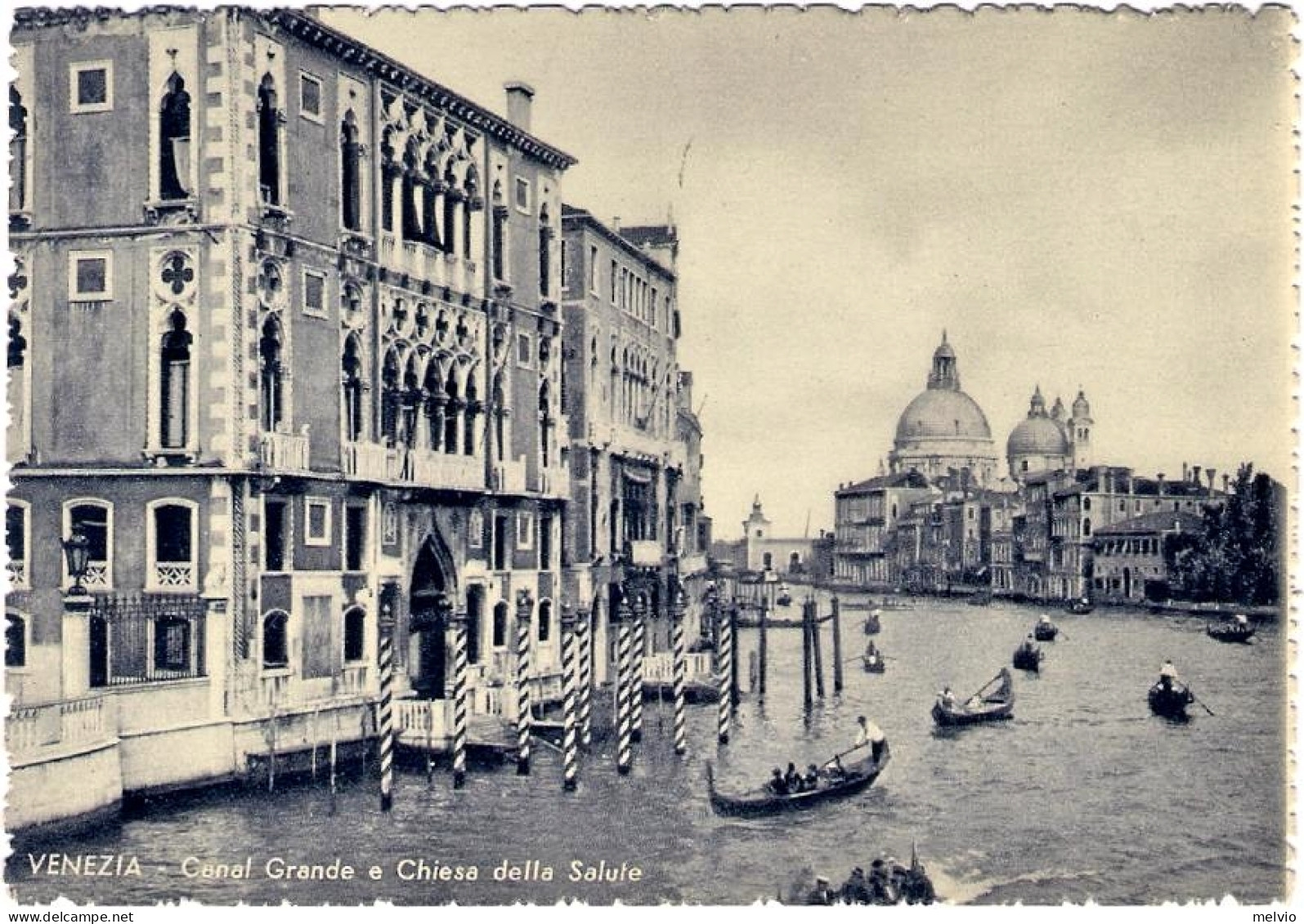 1954-L.35 Siracusana Isolato Su Cartolina Venezia Canal Grande E Chiesa Della Sa - Venezia (Venice)