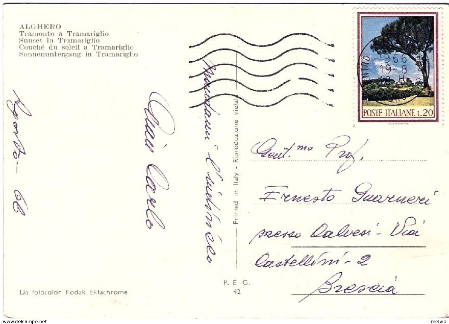 1966-cartolina Alghero Sassari Tramonto A Tramariglio Affrancata L.20 Flora Isol - Sassari