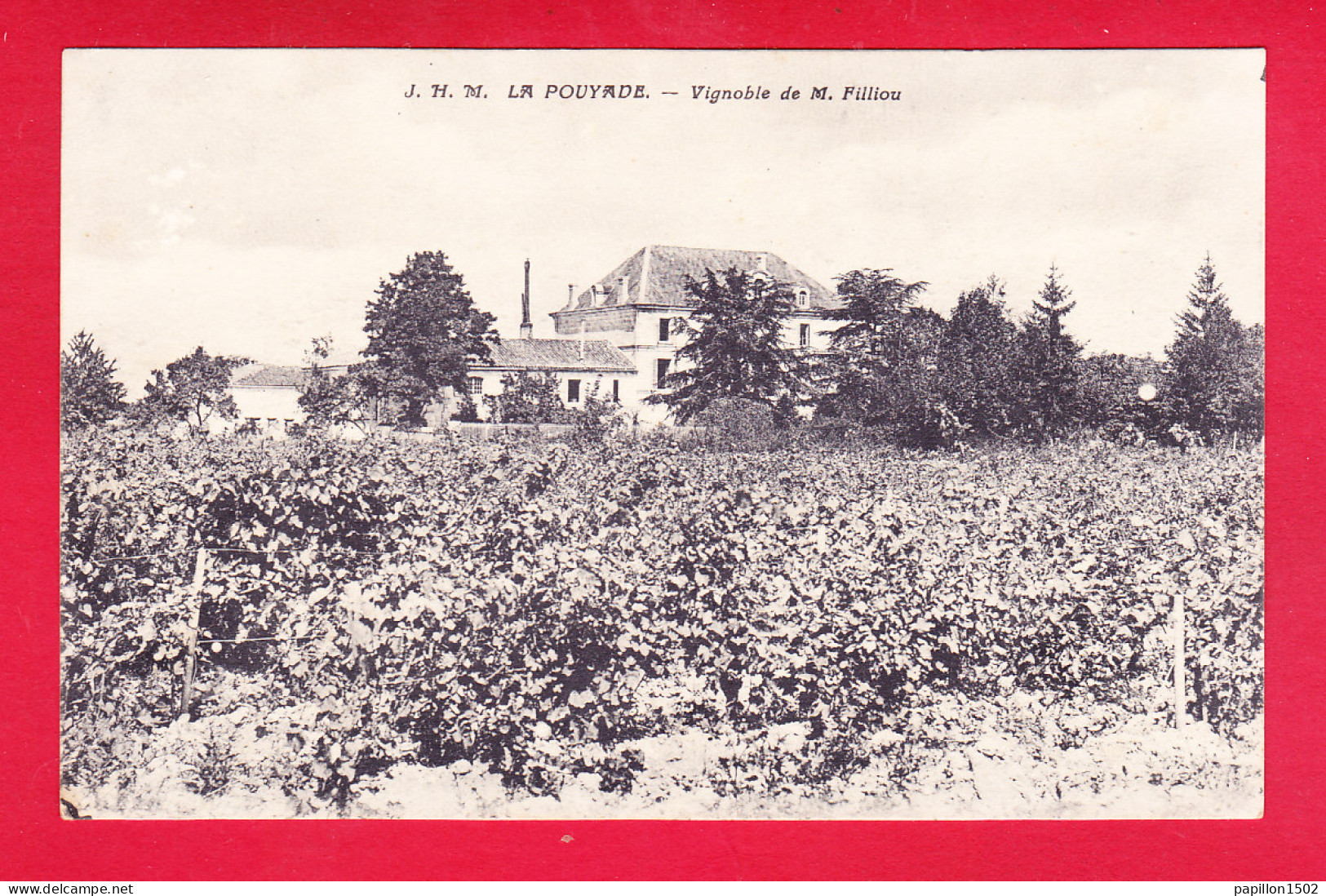 F-23-La Pouyade-01A44  Le Vignoble De M. Filliou, Cpa BE - Autres & Non Classés