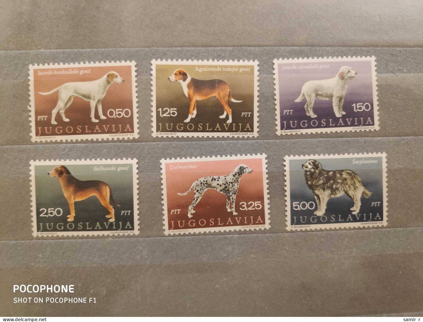 1970	Yugoslavia	Dogs (F90) - Nuevos