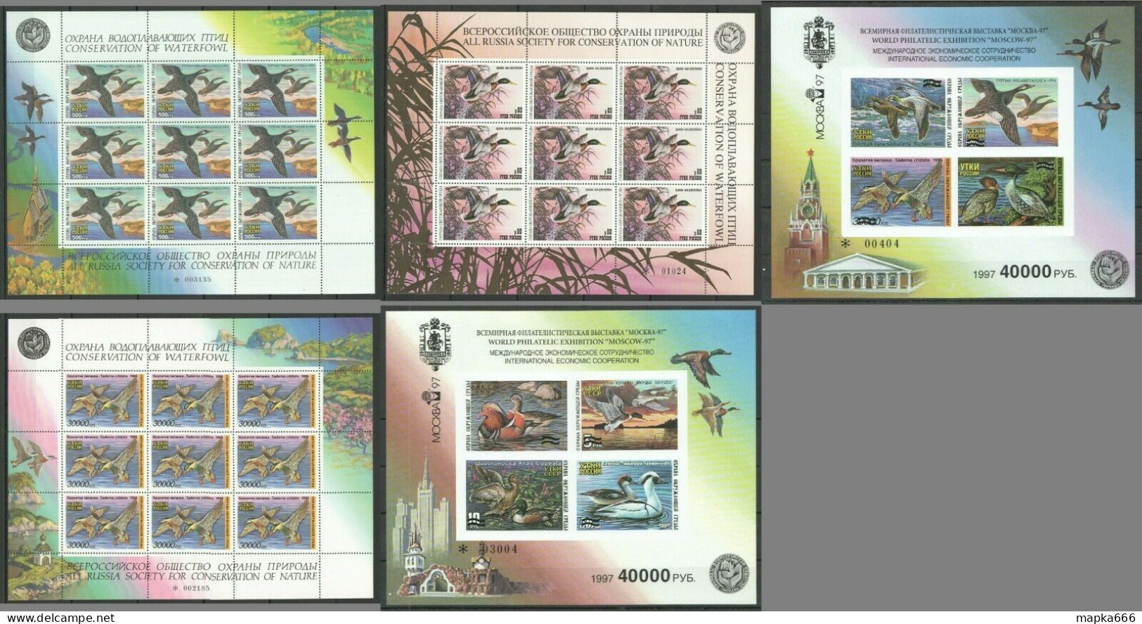 Ec Imperf,Perf Russia Fauna Birds Ducks Conservation Waterfowl Nature 5Kb Mnh - Other & Unclassified