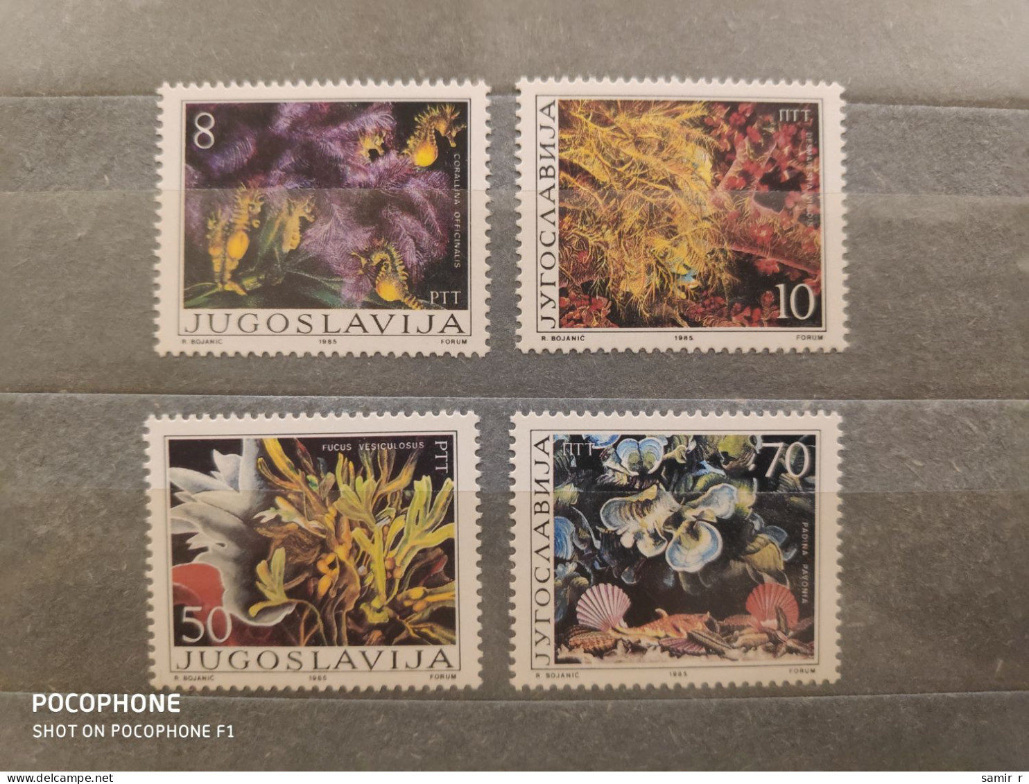 1985	Yugoslavia	Sea Fauna (F90) - Unused Stamps