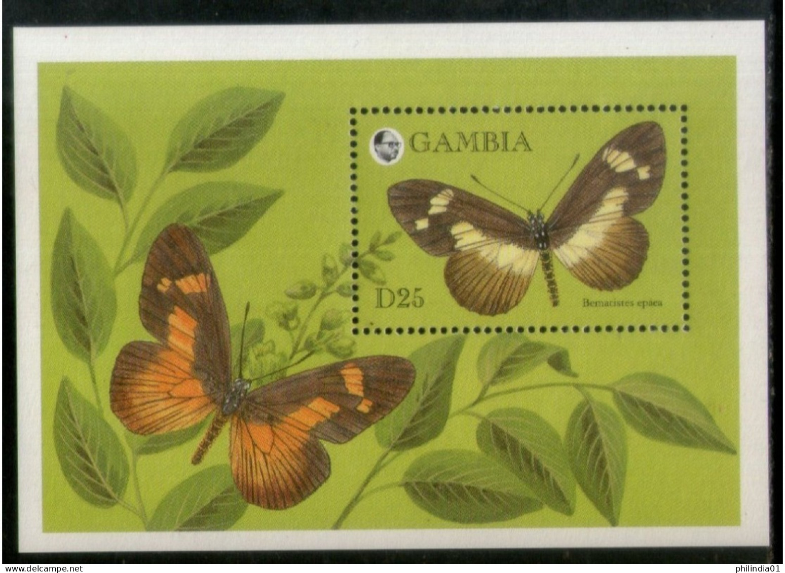 Gambia 1994 Butterflies Moth Insect Sc 1576 M/s MNH # 455 - Vlinders