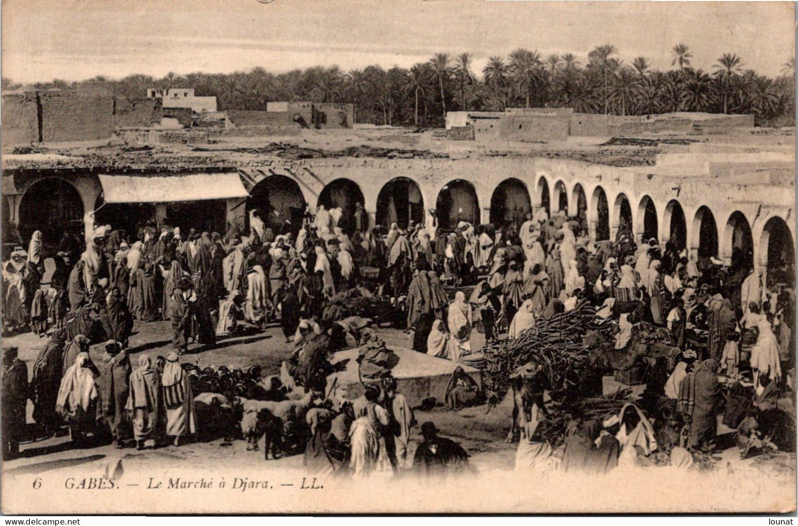 GABES - Le Marché à Djara Tunisie - Tunisia