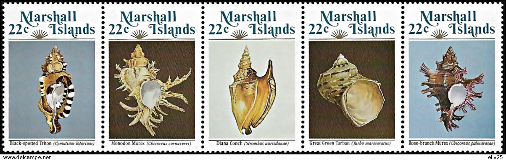 Marshall Islands 1985, Marine Life Snails - Strip Of 5 V. MNH - Vie Marine