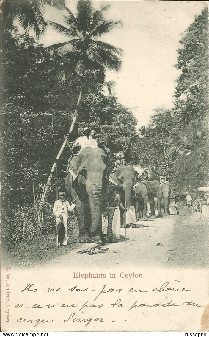 FRANCE -  SEA POST -  "LIGNE N " DEPARTURE CDS ON FRANKED PC (VIEW OF CEYLON) TO FRANCE - 1904 - Posta Marittima