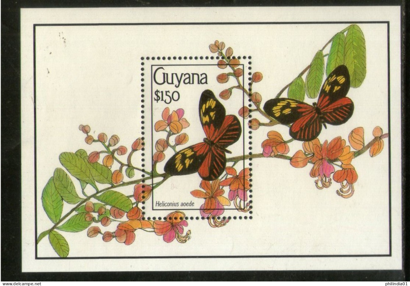 Guyana 1990 Butterflies Moth Insect Sc 2344 M/s MNH # 5524 - Butterflies