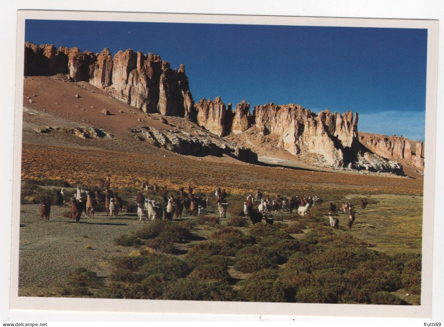 AK 214636 CHILE - Laamas Und Alpakas Nahe Des Tara-Salzsees In Der Andenkette Der Region Antofagasta - Cile