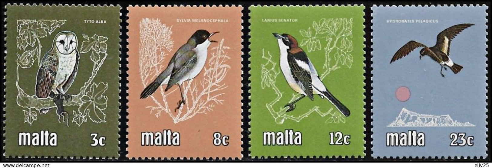 Malta 1981, Birds - 4 V. MNH - Other & Unclassified