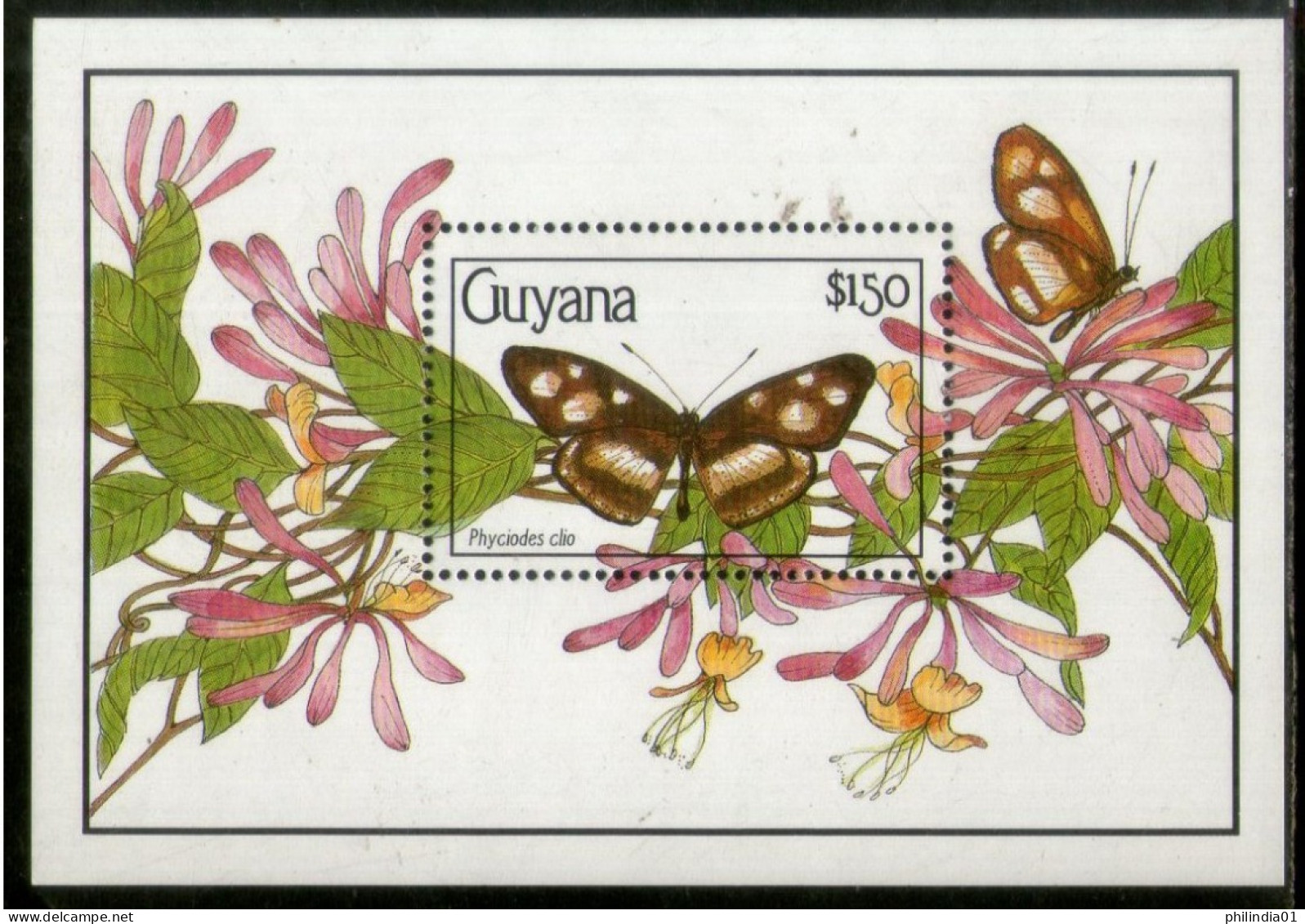 Guyana 1990 Butterflies Moth Insect Sc 2345 M/s MNH # 1860 - Butterflies