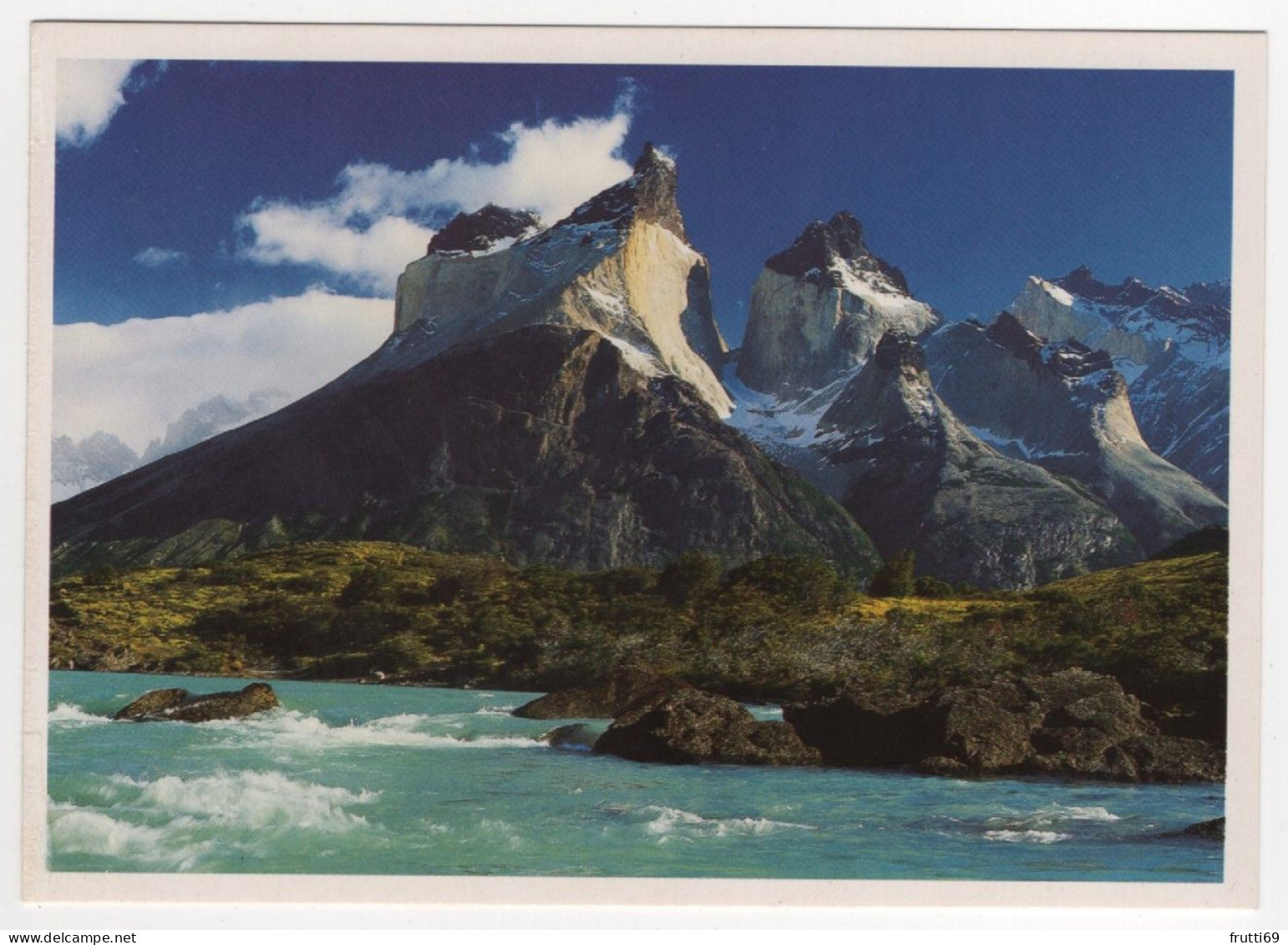 AK 214638 CHILE - Cuernos Del Paine Und Rio Paine Am Ausfluß Des Nordenskhöld-Sees - Patagonien - Cile