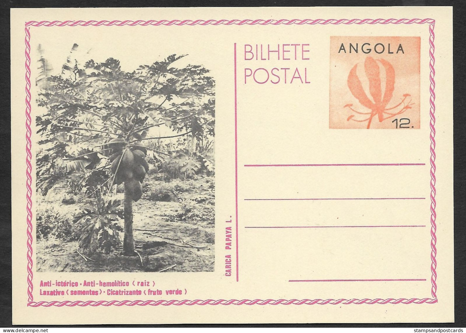 Angola Carte Entier Postal 1982 Papayer Carica Papaya Fruit Stationery - Angola