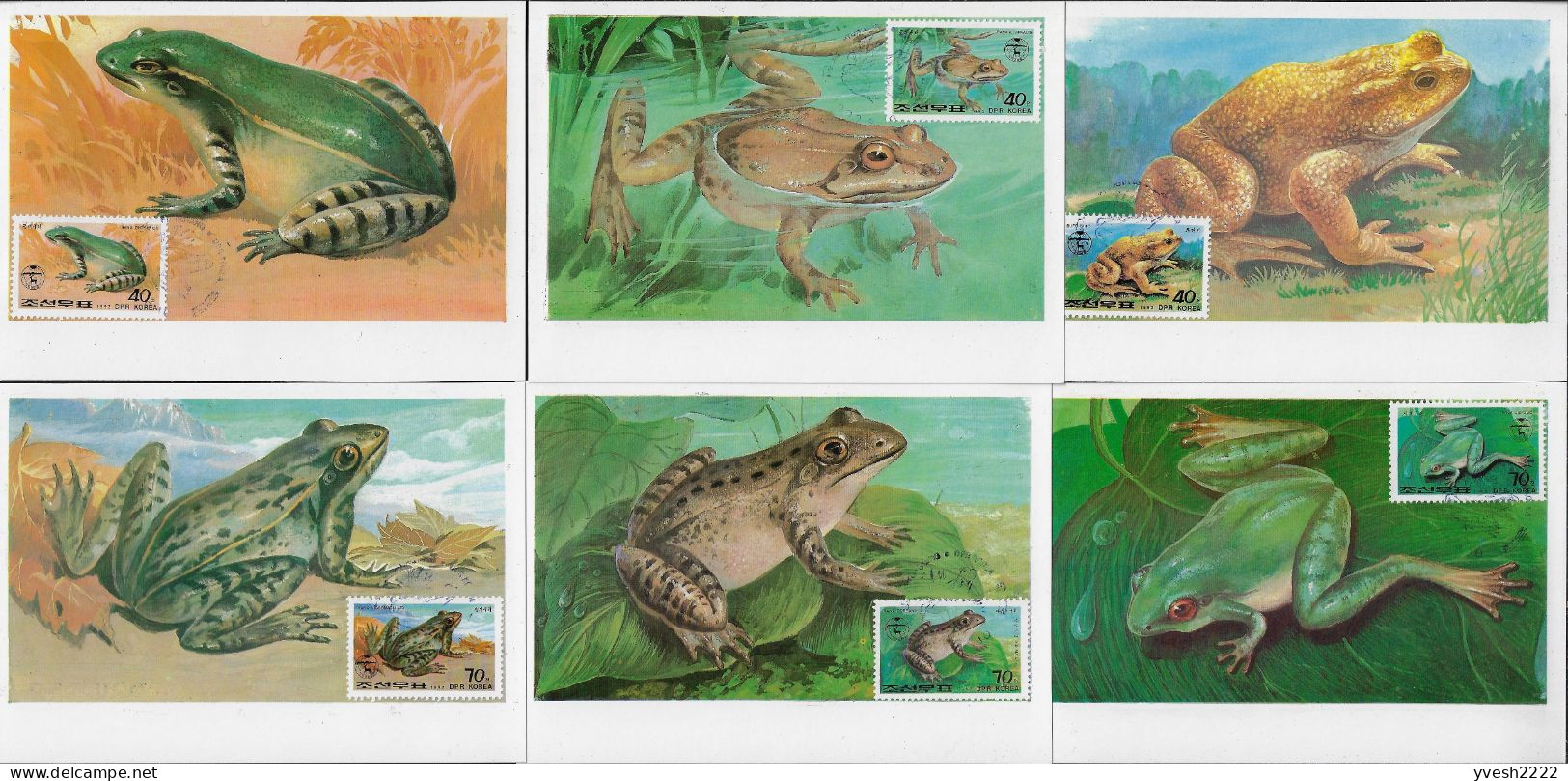 Corée Du Nord 1992 Y&T 2319 à 2323 Et PA 29. 6 Cartes Maxima. Batraciens. Grenouilles Communistes - Frogs