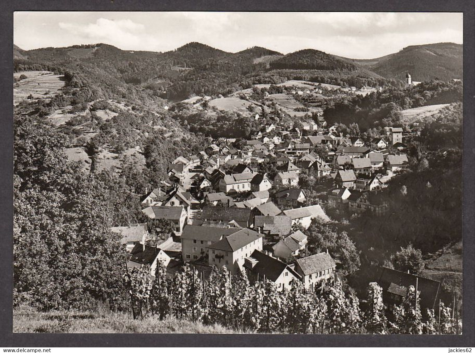 105878/ BÜHLERTAL - Bühlertal