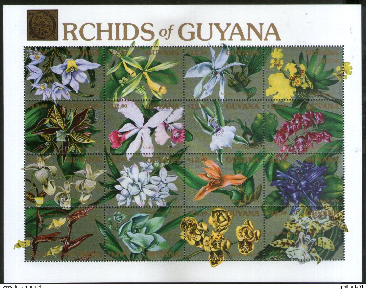 Guyana 1990 Orchids Flowers Flora Sc 2370 Sheetlet MNH # 19077 - Orchidées