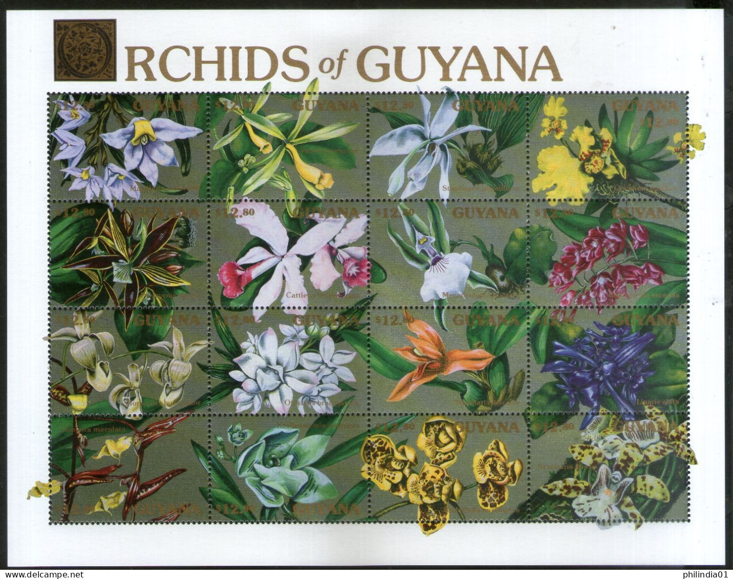 Guyana 1990 Orchids Flowers Flora Sc 2370 Sheetlet MNH # 19077 - Orquideas