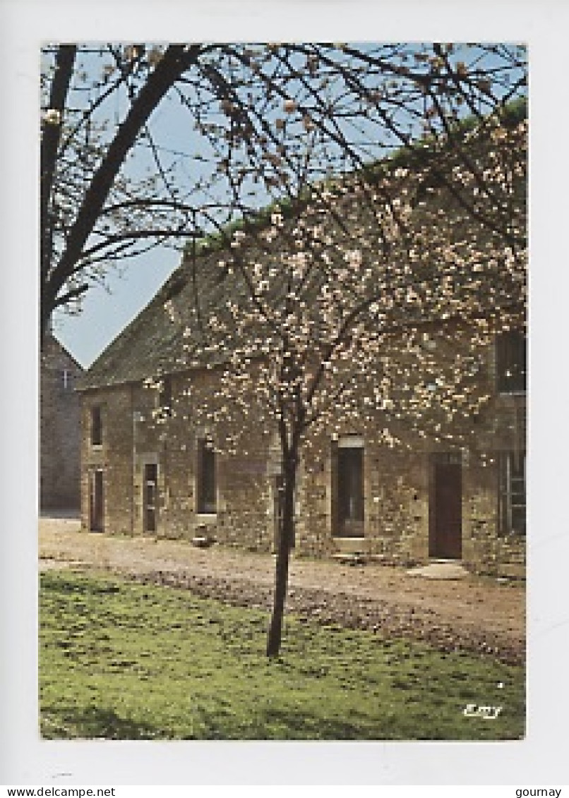 La Normandie Pittoresque : Cour De Ferme (cp N°92 Le Goubey) Pommier Bâtiment Pierre - Basse-Normandie