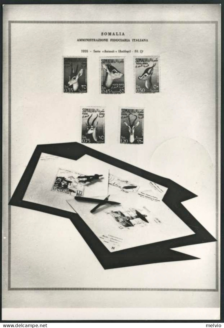 1955-"X Mostra Filatelica Biellese"affrancata L.25 Istruzione Professionale Con  - Exhibitions