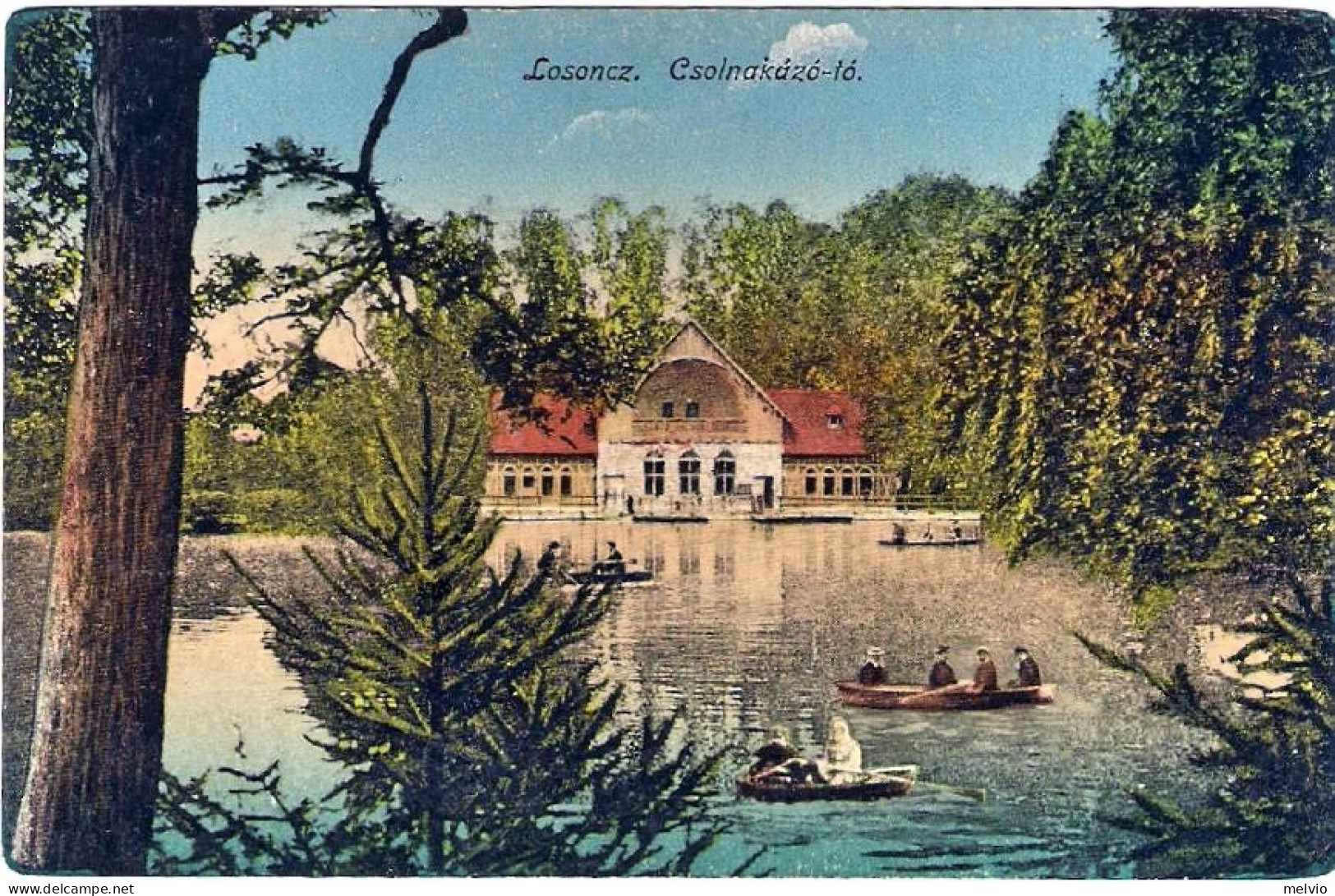 1919-Ungheria Cartolina "Losoncz Csonakazo to"non Viaggiata - Hungría