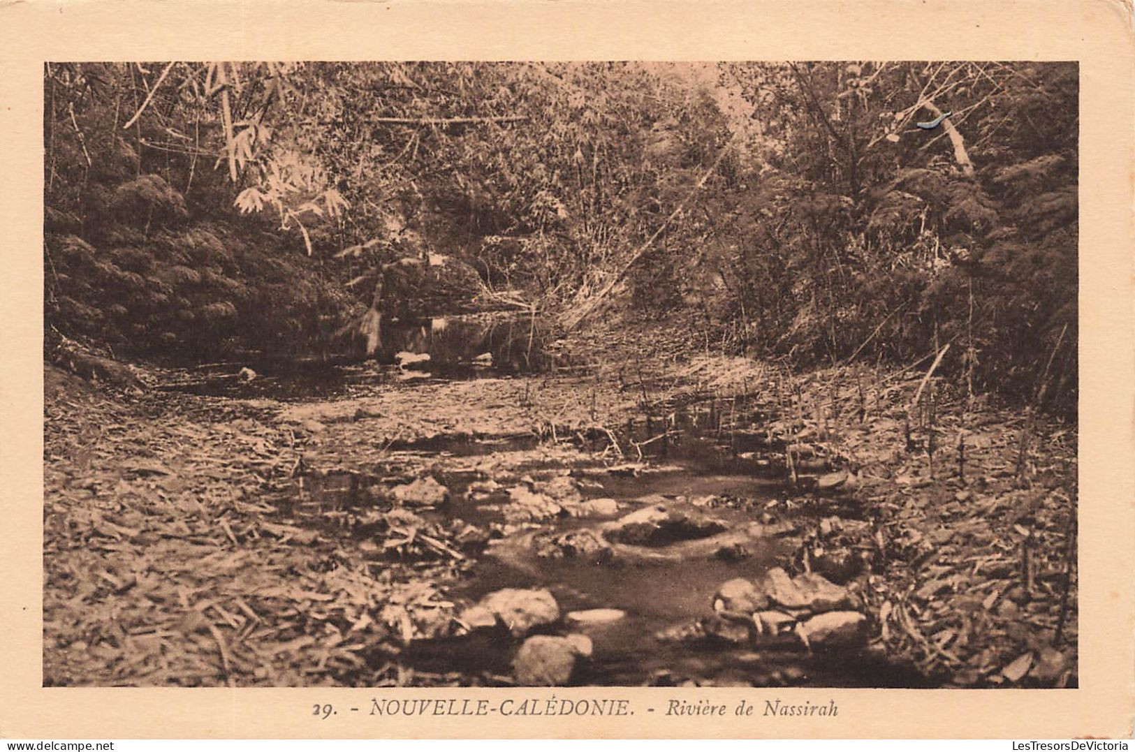 NOUVELLE CALEDONIE - Rivière  De Nassirah - Carte Postale Ancienne - Nuova Caledonia