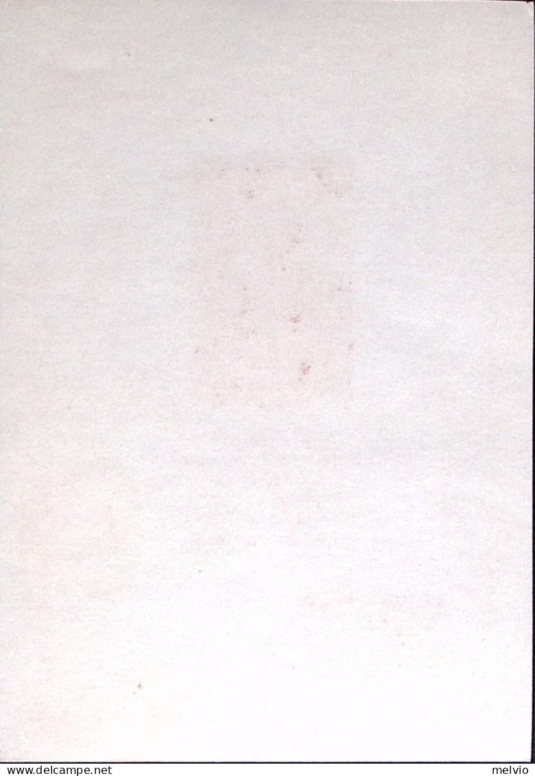 1965-CECOSLOVACCHIA Praga Sondaggio Filatelico Annullo Speciale (27.5) Su Carton - Otros & Sin Clasificación