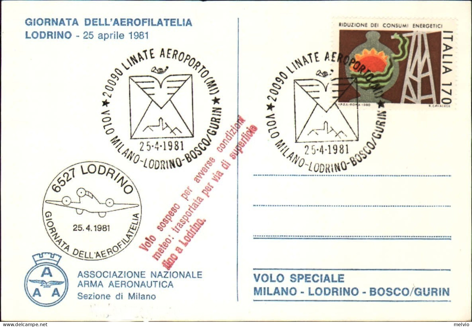 1981-"l'aeronautica Militare Al Servizio Del Paese"volo Milano-Lodrino-Bosco/Gur - Poste Aérienne