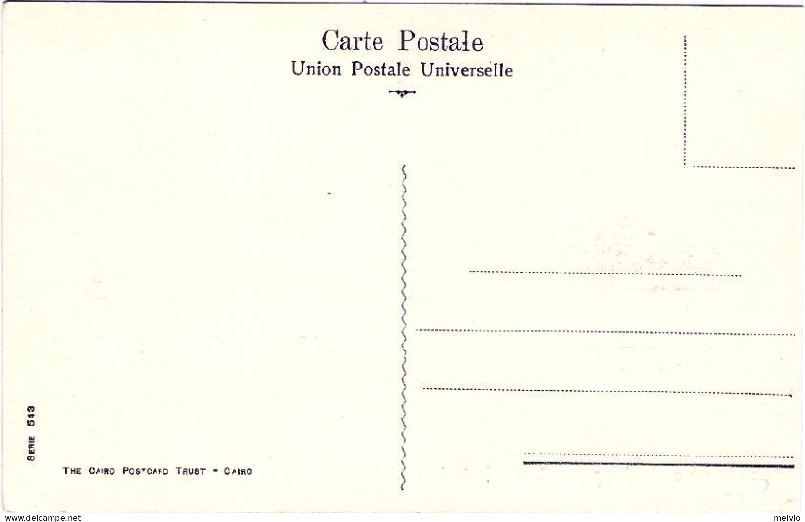 1930circa-Egitto Cartolina "Chameaux Garin Pour Noces Indigene" - Sonstige & Ohne Zuordnung