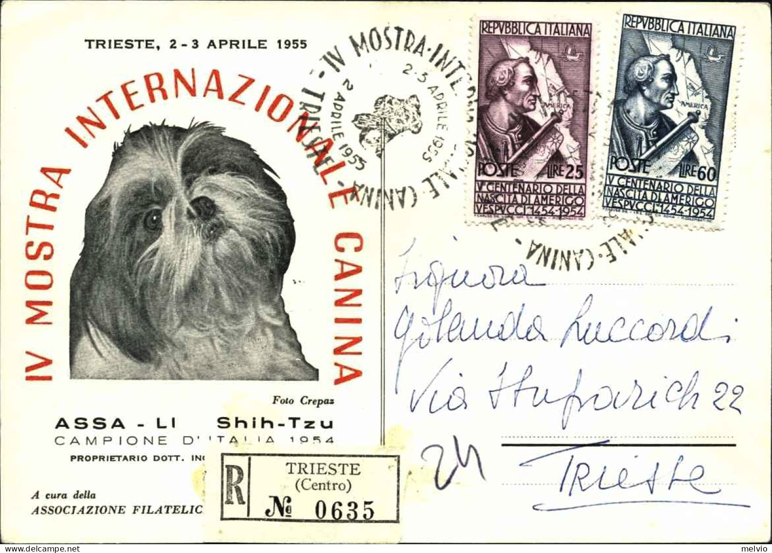 1955-IV Mostra Internazionale Canina Cartolina Raccomandata Con Intestazione Pub - Ausstellungen