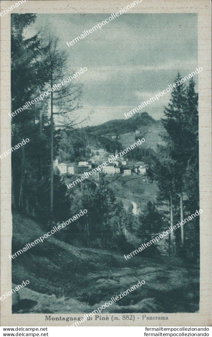 Cm425 Cartolina Montagnana Di Pine' Panorama Provincia Di Trento Trentino - Trento