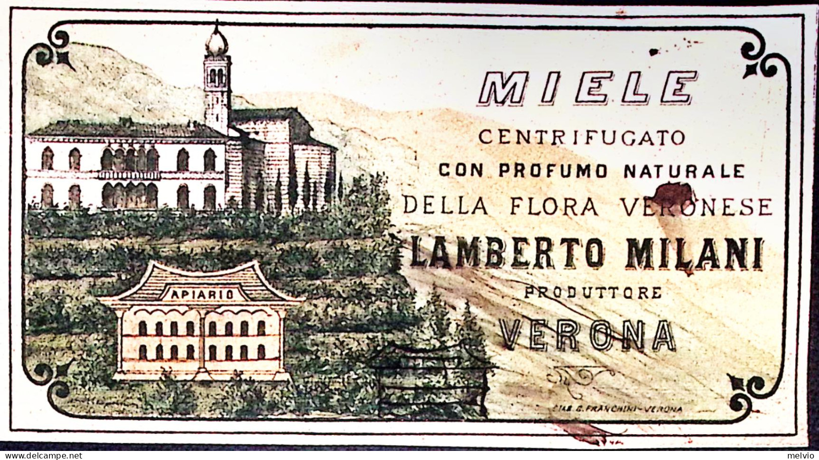 1930circa-MIELE CENTIFRUGATO Lamberto Milani Di Verona Etichetta (mm 137x73) Pol - Verona