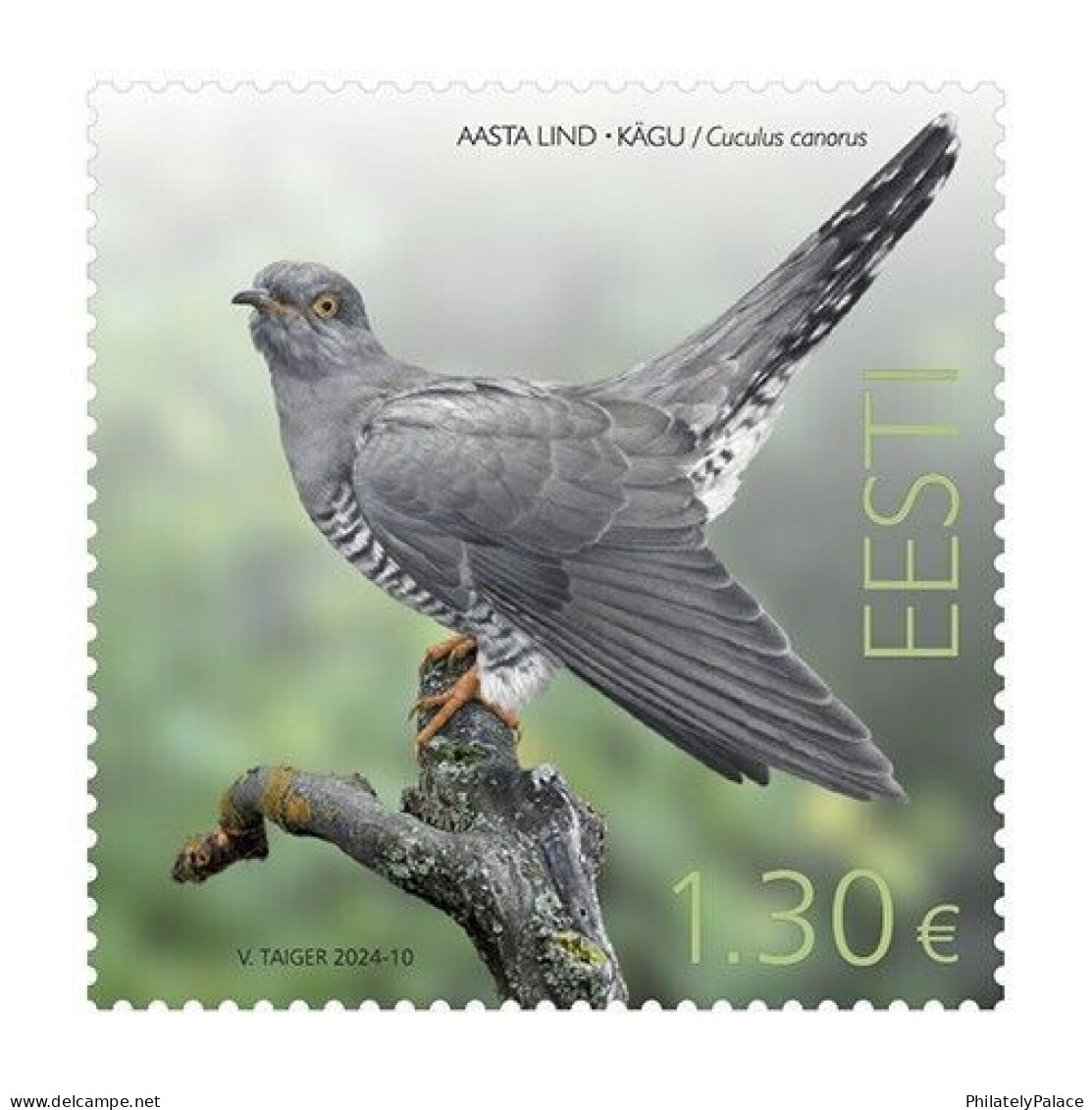 ESTONIA 2024 Bird Of The Year,The Common Cuckoo,Aves,Animal,Summer Migrant To Europe & Asia,1v Mint MNH (**) - Estonia