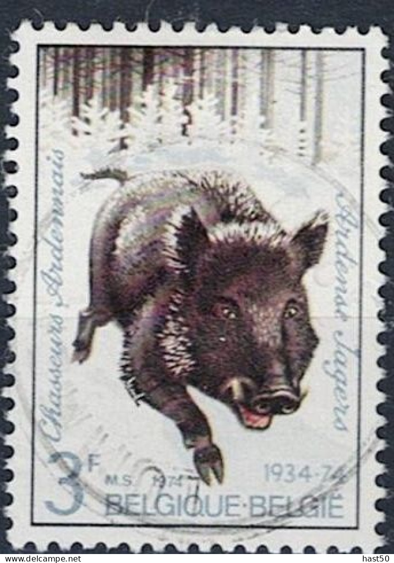 Belgien Belgium Belgique - Wildschwein (Sus Scrofa) (MiNr: 1785) 1974 - Gest Used Obl - Oblitérés