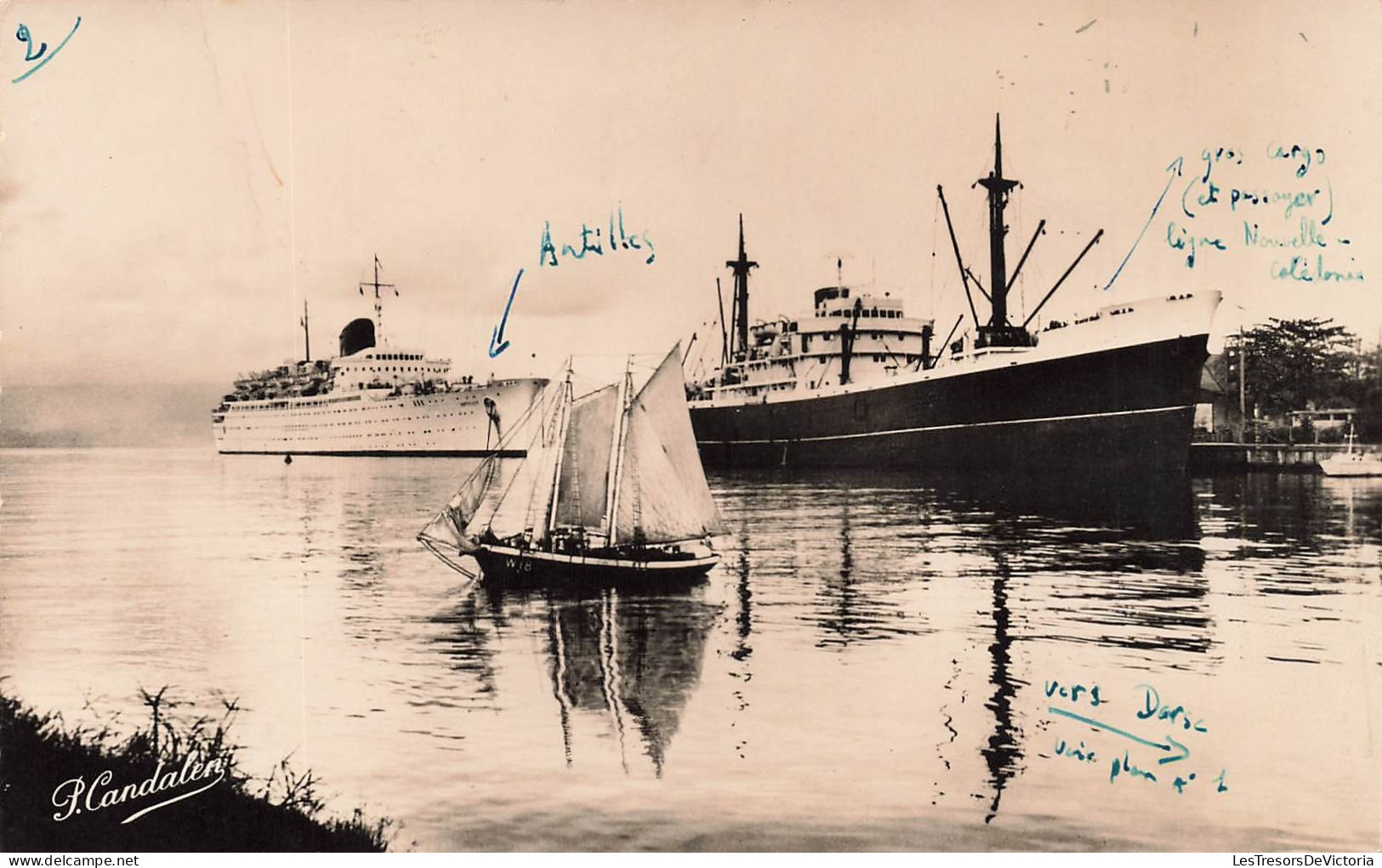 FRANCE - Guadeloupe - Pointe à Pitre - Arrivée Du Courrier - Carte Postale Ancienne - Pointe A Pitre