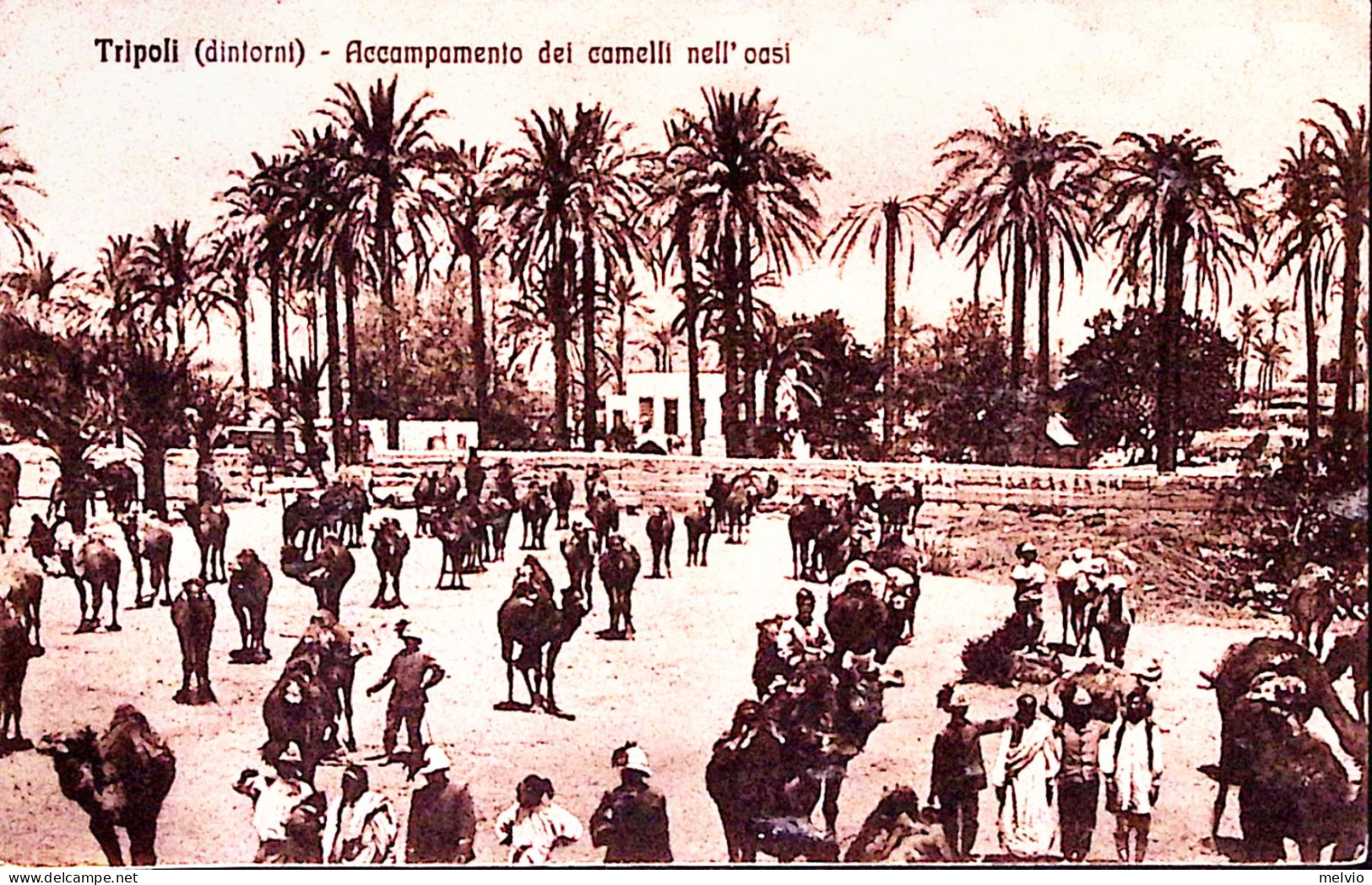 1913-TRIPOLI D'AFRICA N 1/(PORTO) C.2 (5.5) Su Cartolina (Tripoli Accampamento D - Guerre 1939-45