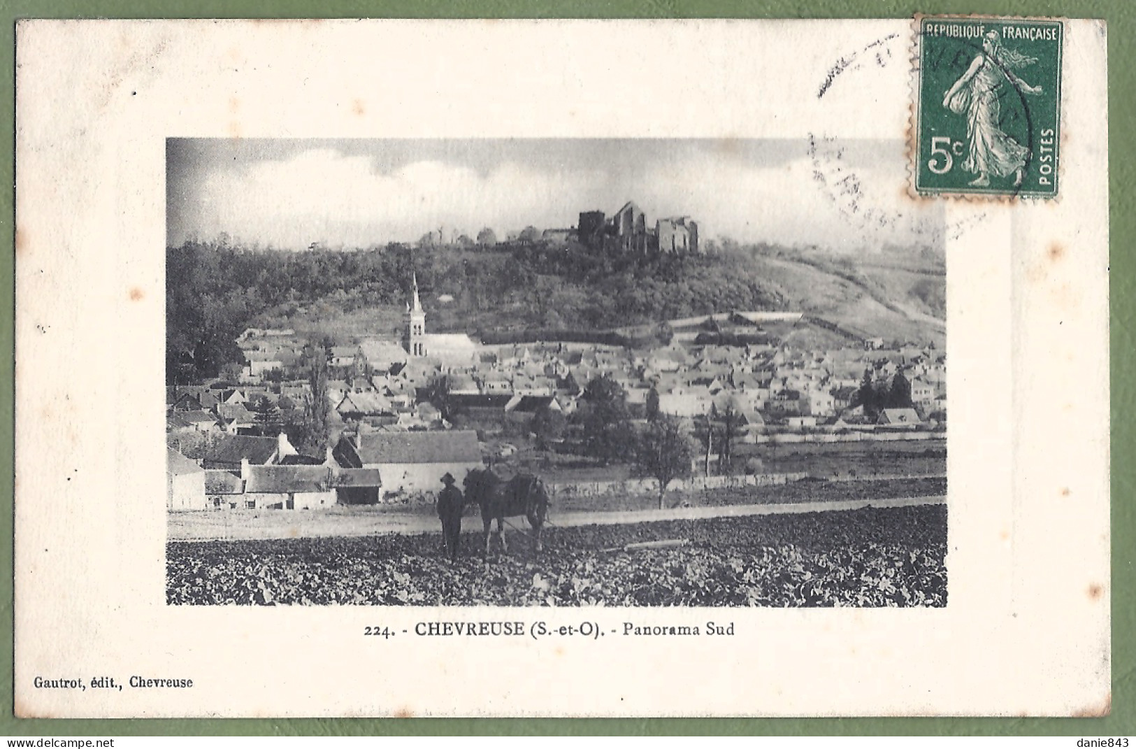 CPA  - YVELINES - CHEVREUSE - PANORAMA SUD - Animation, Labourage - Chevreuse