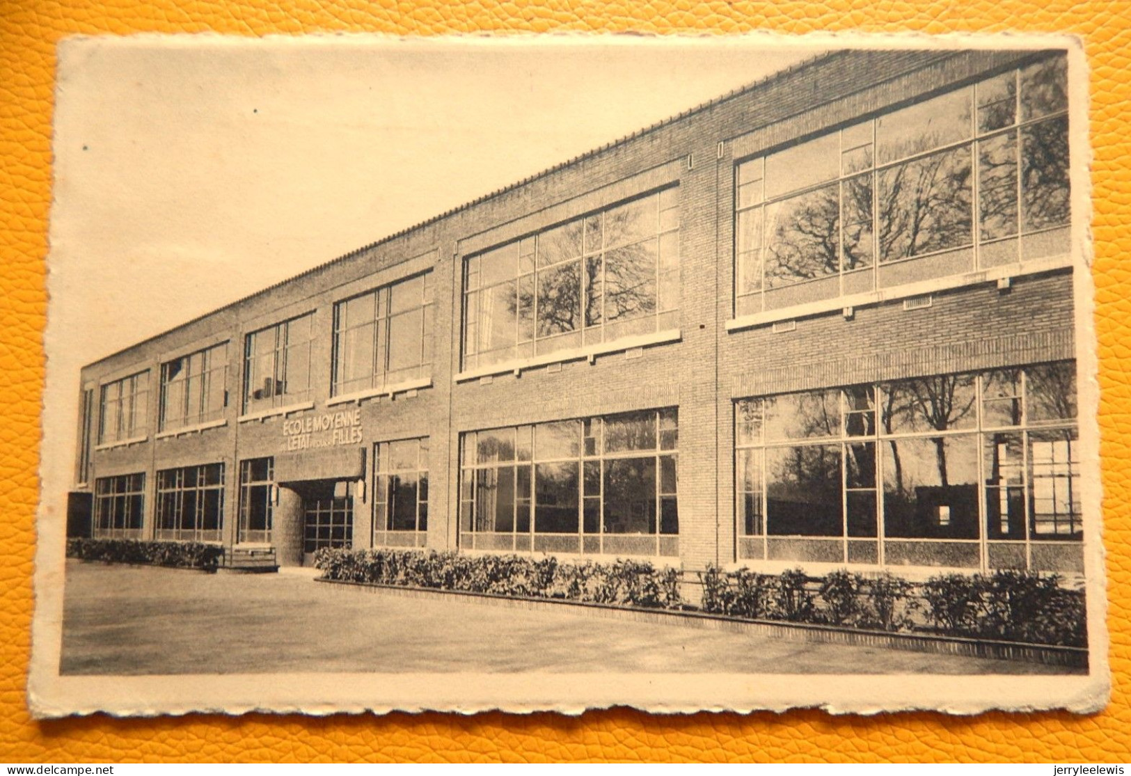 LESSINES   - Ecole Moyenne De L'Etat Pour Jeunes Filles - Lessen