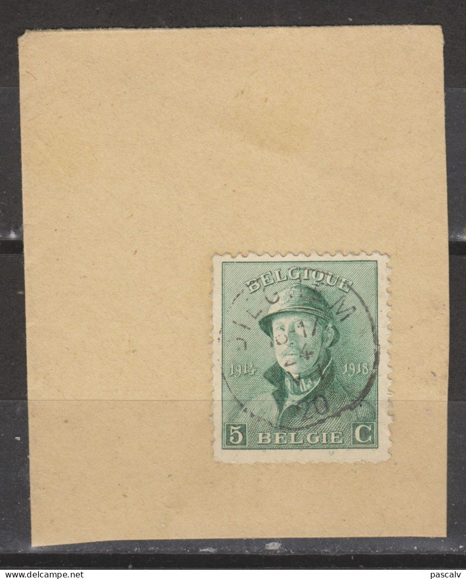COB 167 Sur Fragment Oblitération Centrale DIEGHEM - 1919-1920 Behelmter König