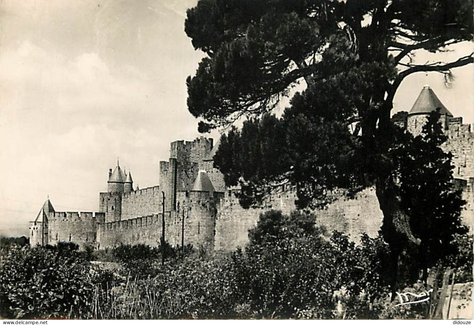 11 - Carcassonne - La Cité De Carcassonne - Vue D'ensemble Des Hautes-Lisses - Carte Dentelée - CPSM Grand Format - Cart - Carcassonne