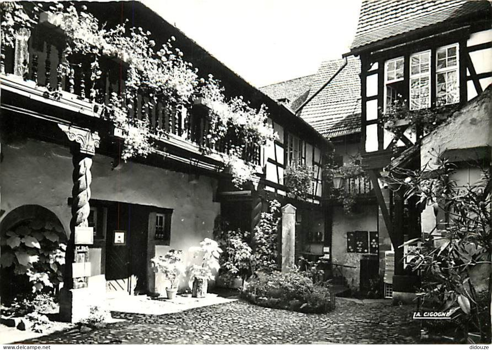 68 - Riquewihr - Cour Des Cigognes - Mention Photographie Véritable - CPSM Grand Format - Voir Scans Recto-Verso - Riquewihr