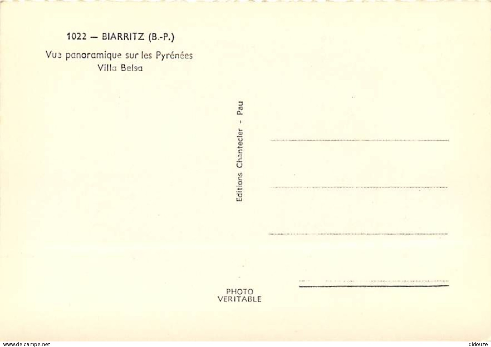 64 - Biarritz - Vue Panoramique Sur Les Pyrénées - Villa Belsa - Animée - Mention Photographie Véritable - CPSM Grand Fo - Biarritz