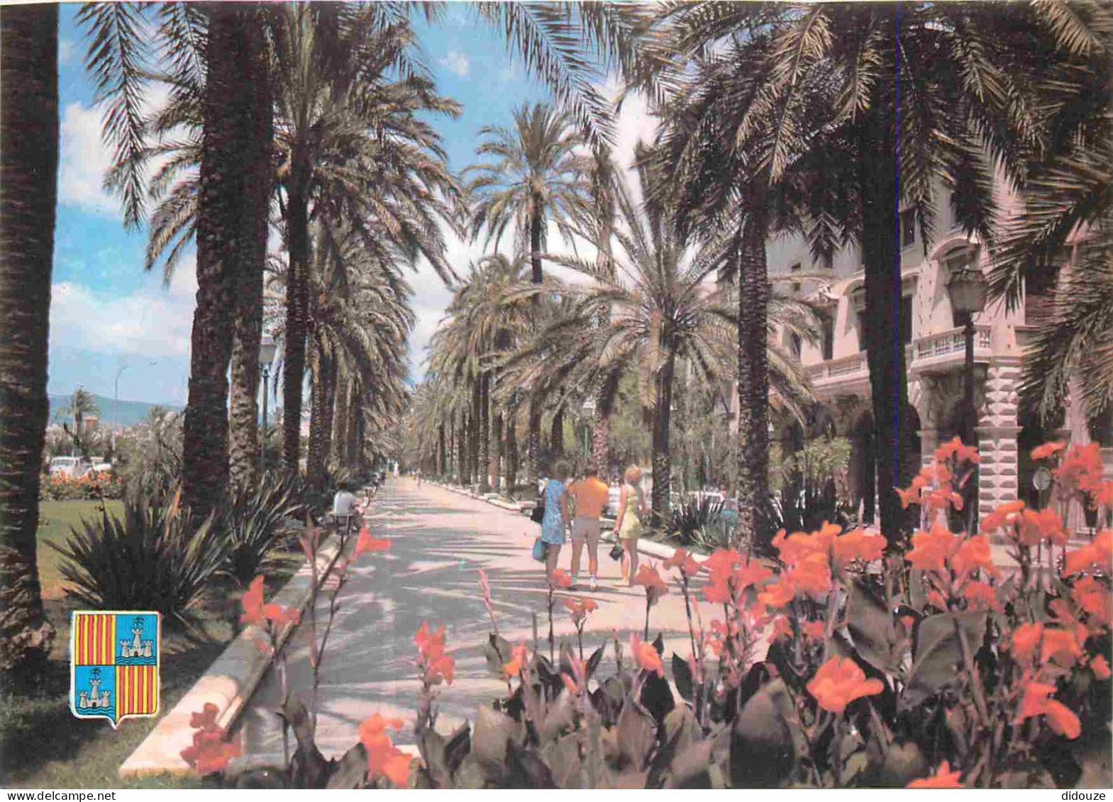 Espagne - Espana - Islas Baleares - Palma De Mallorca - Paseo De Sagrera - Fleurs - CPM - Voir Scans Recto-Verso - Palma De Mallorca