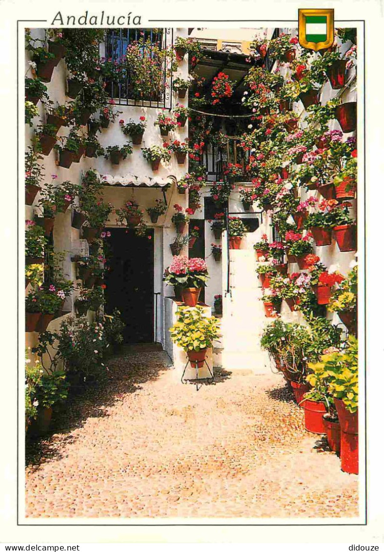 Espagne - Espana - Andalucia - Fleurs - CPM - Voir Scans Recto-Verso - Other & Unclassified