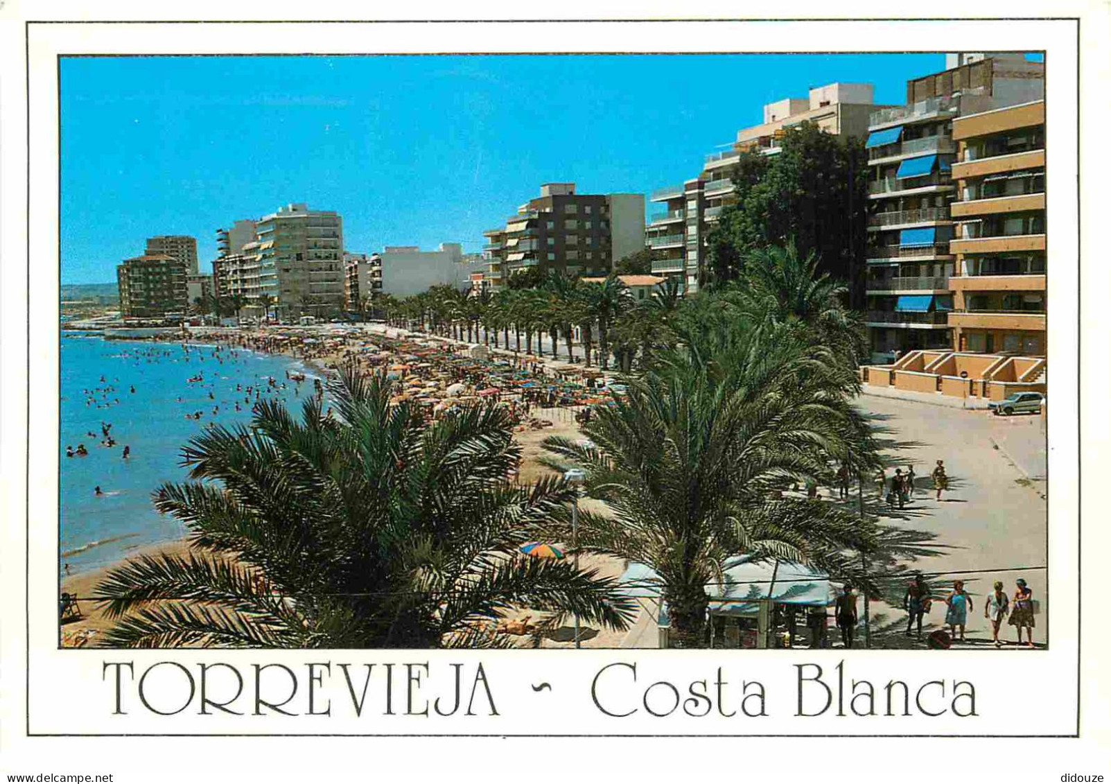 Espagne - Espana - Comunidad Valenciana - Torrevieja - Playa Del Cura - CPM - Voir Scans Recto-Verso - Alicante