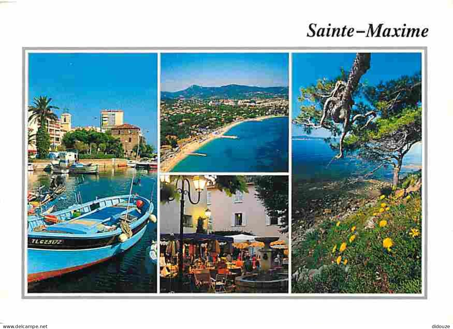 83 - Sainte Maxime Sur Mer - Carte Neuve - CPM - Voir Scans Recto-Verso - Sainte-Maxime