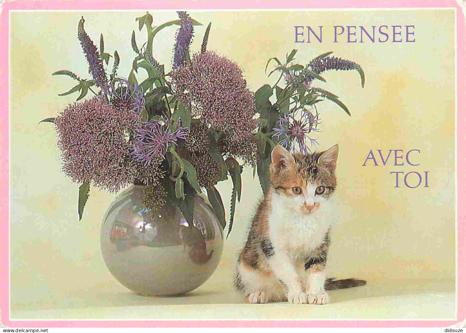 Animaux - Chats - Carte à Message - CPM - Voir Scans Recto-Verso - Katzen