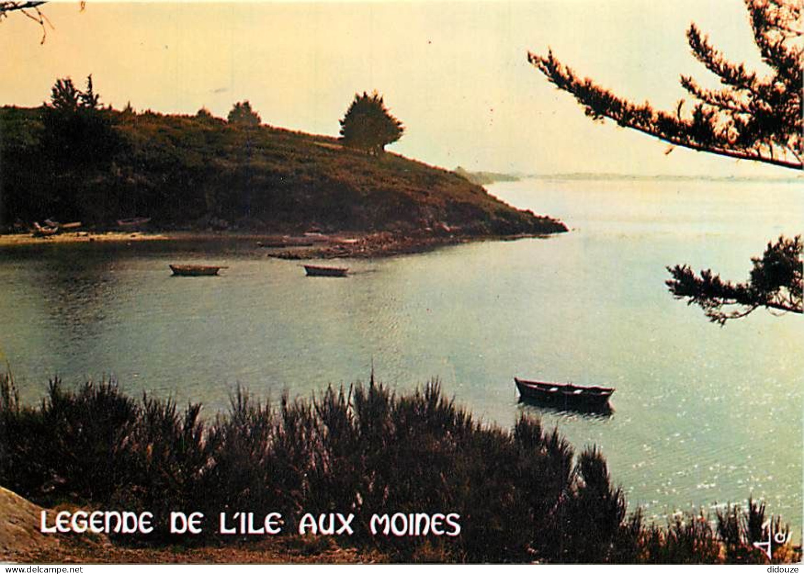 56 - Ile Aux Moines - CPM - Voir Scans Recto-Verso - Ile Aux Moines